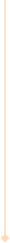 Parallax Image